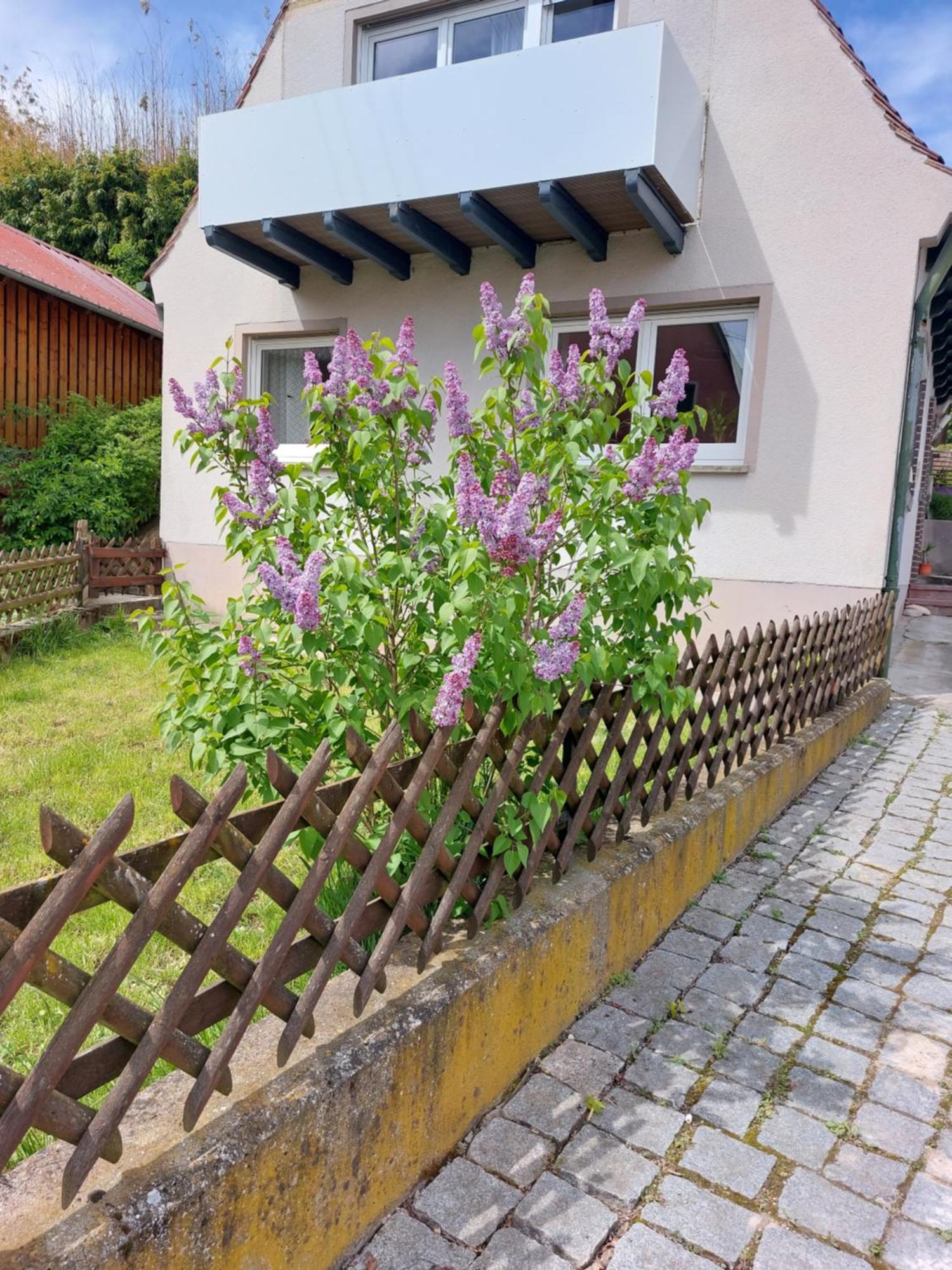 Sehr Beliebt! Ferienhaus Zur Donau Herbertingen Exterior foto